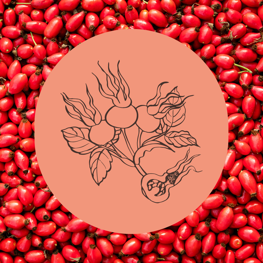 Rozenbottel Poeder – Natuurlijke Vitamine C