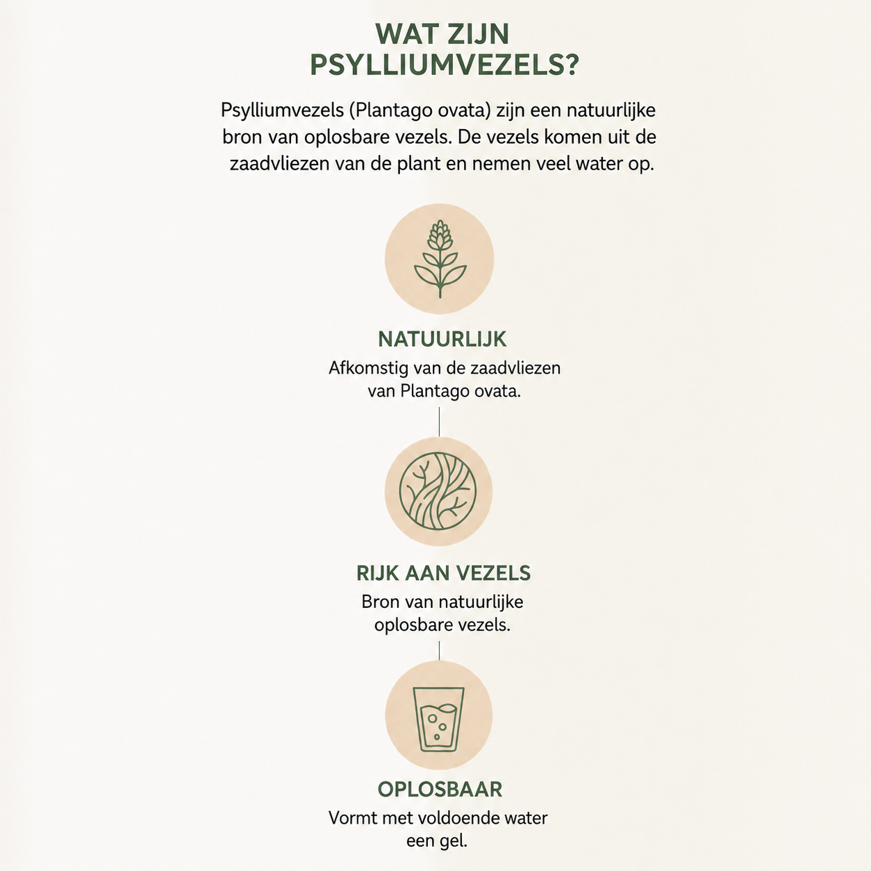 Infographic over psylliumvezels als natuurlijke oplosbare vezels uit Plantago ovata