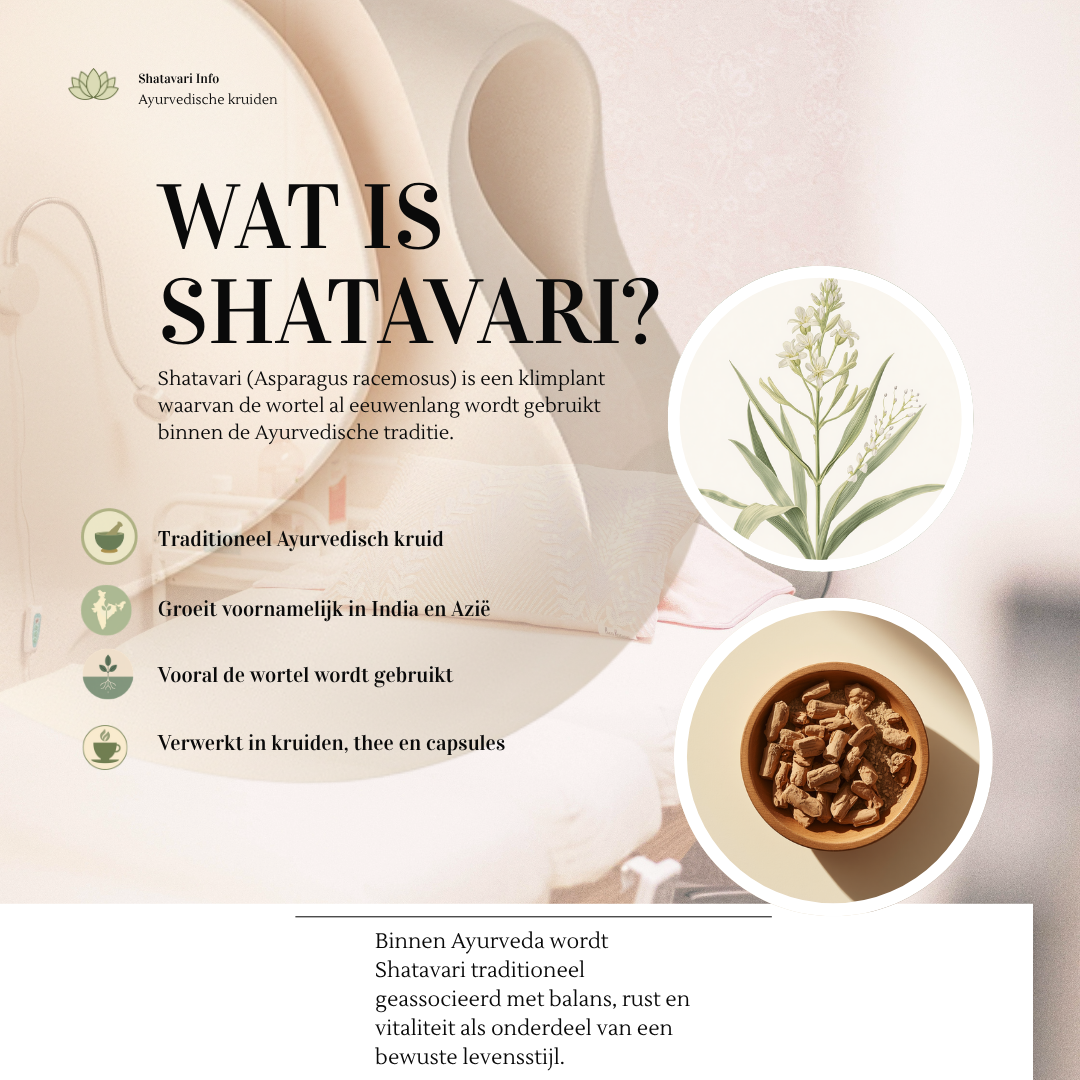 Biologische Shatavari Capsules – Traditioneel Ayurvedisch kruid