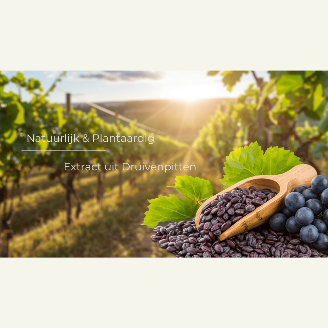 OPC Druivenpitextract Capsules – Hoogwaardig & zuiver druivenpitextract
