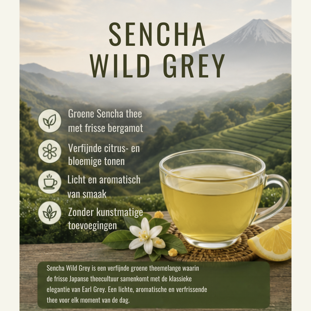 Sencha Wild Grey – Groene Thee met Bergamot & Citrus