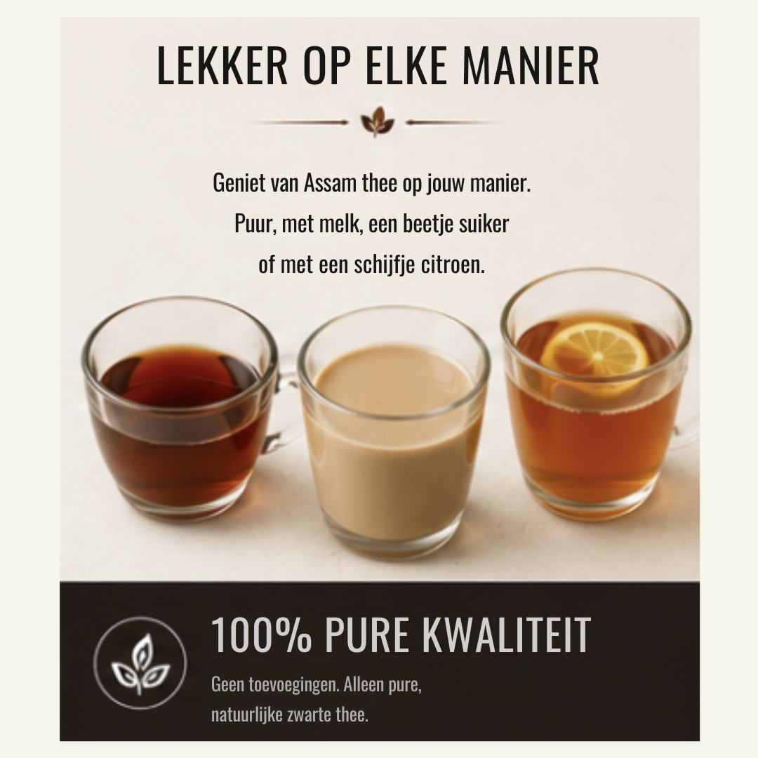 Zwarte Thee Assam – Krachtige & Volle Zwarte Thee
