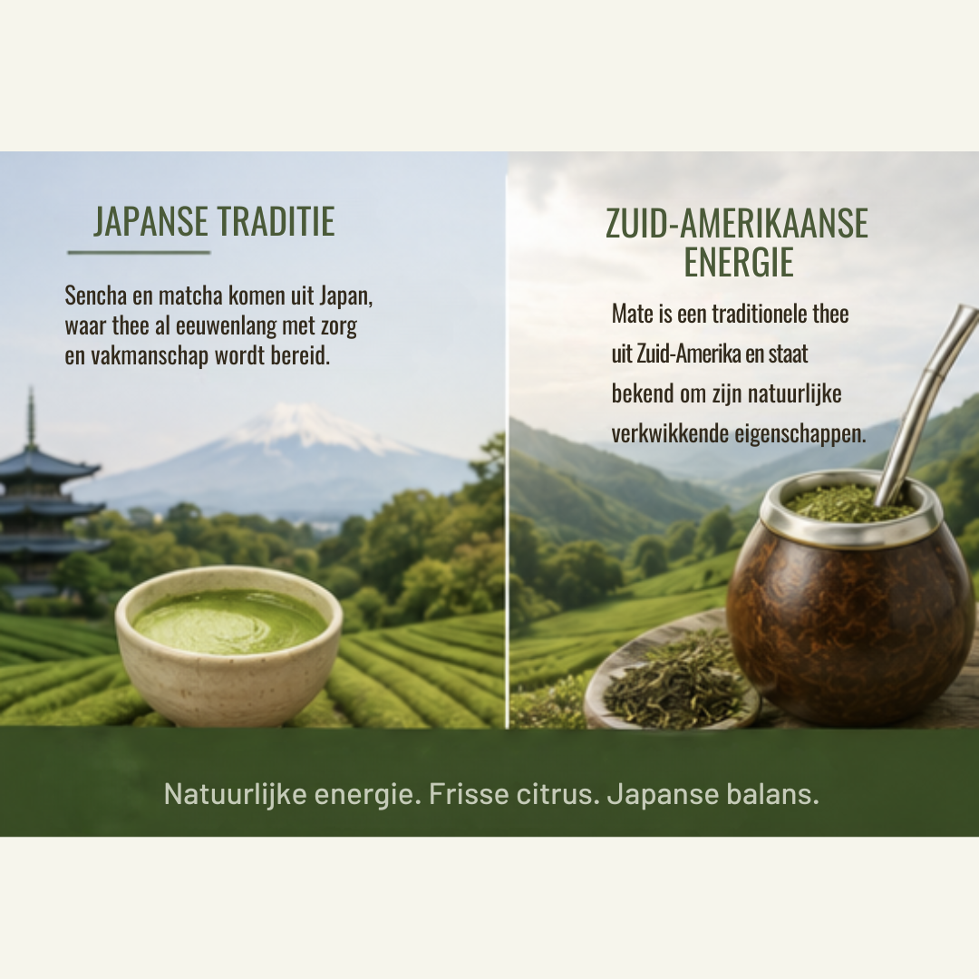Sencha Mate Matcha Citroen – Groene Thee met Citrus & Matcha