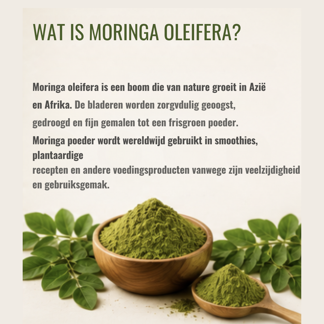 Biologisch Moringa Poeder – Groen superfood voor je dagelijkse routine