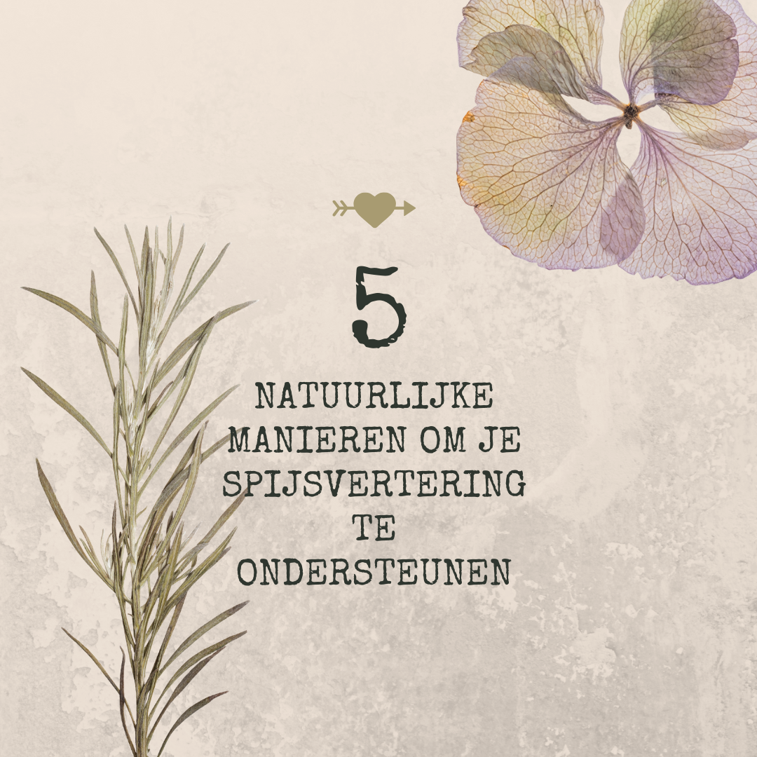 5 natuurlijke manieren om je spijsvertering te ondersteunen