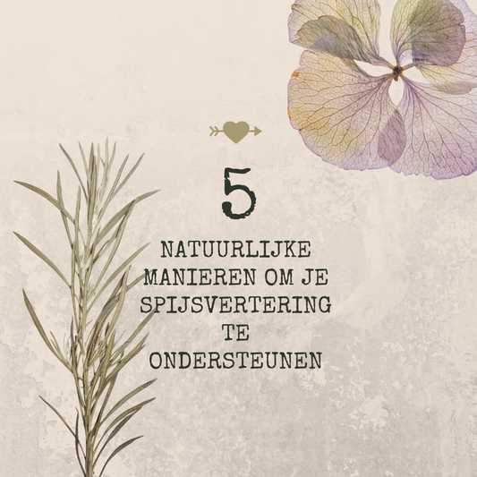 5 natuurlijke manieren om je spijsvertering te ondersteunen