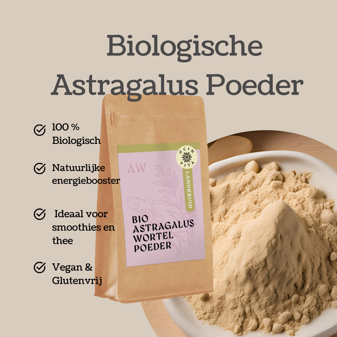 Astragalus Poeder Biologisch – Weerstand & Vitaliteit