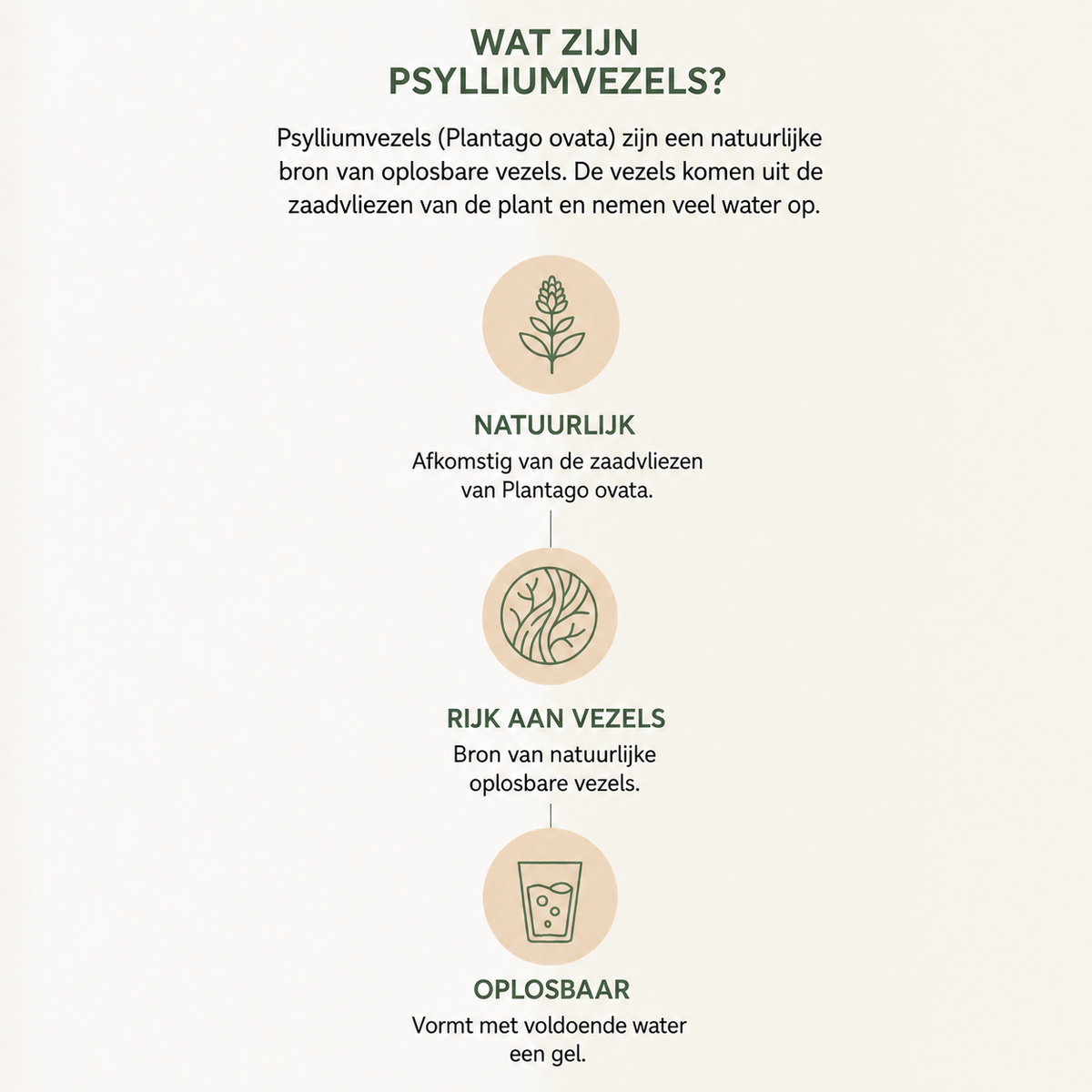 Infographic over psylliumvezels als natuurlijke oplosbare vezels uit Plantago ovata