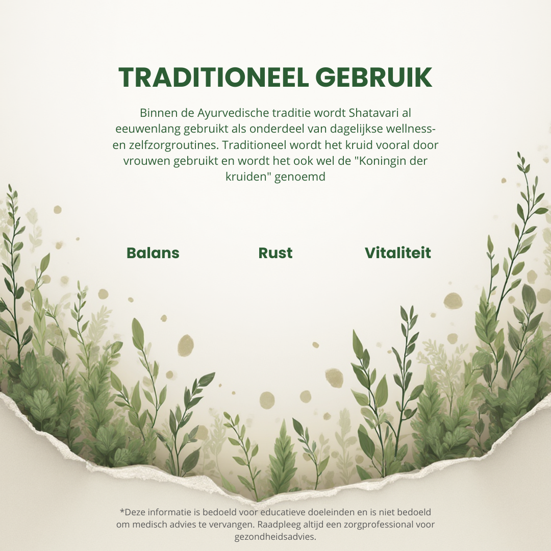 Biologische Shatavari Capsules – Traditioneel Ayurvedisch kruid