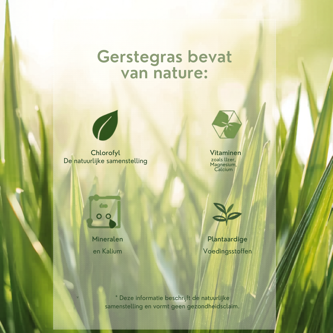 Biologische Gerstegras Capsules – 100% puur gerstegras