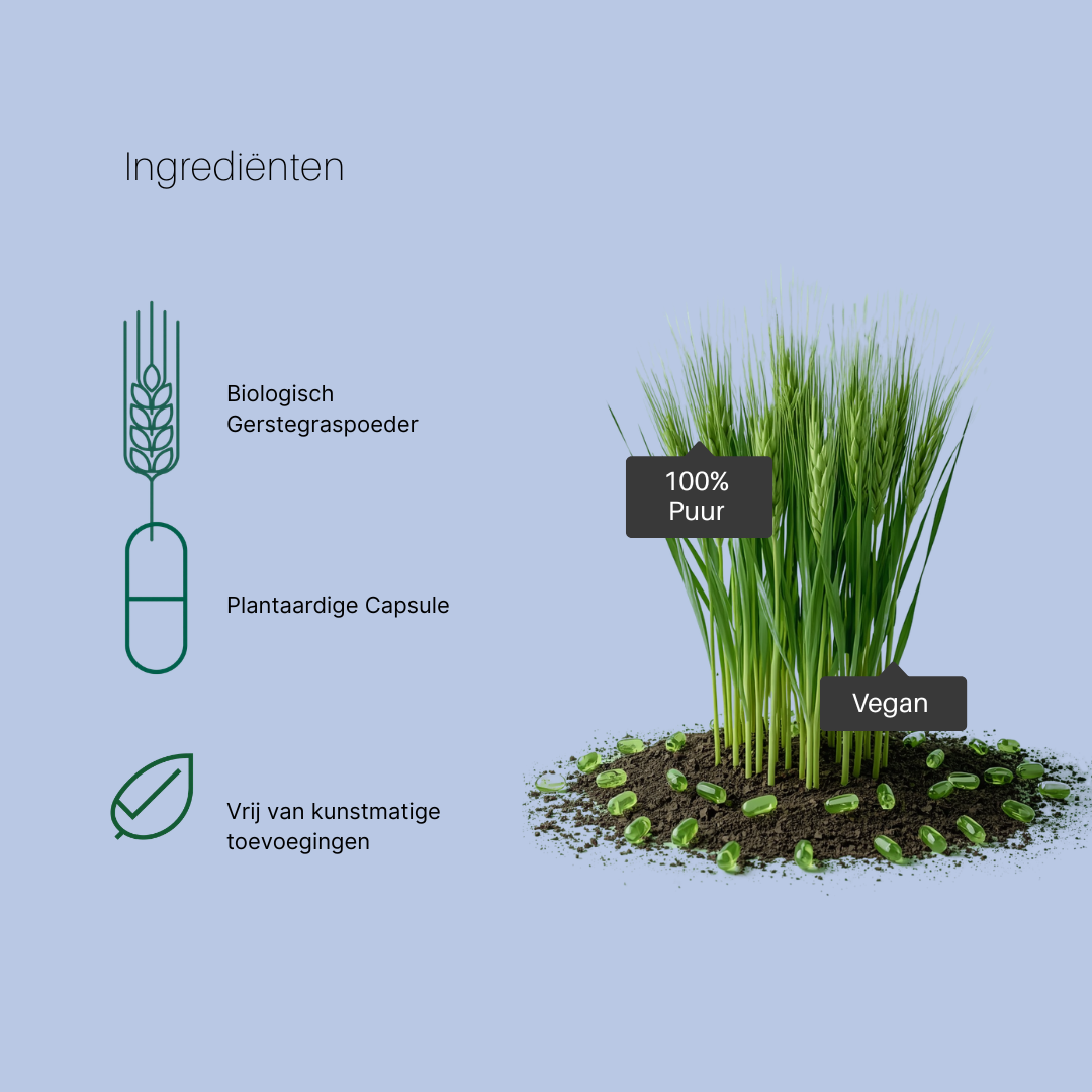 Biologische Gerstegras Capsules – 100% puur gerstegras