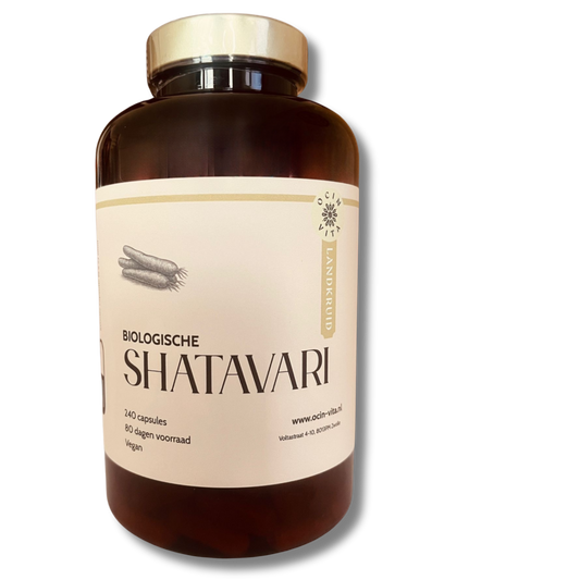 Shatavari Capsules - 100% Natuurlijk Ayurvedisch Kruid voor Balans & Vitaliteit