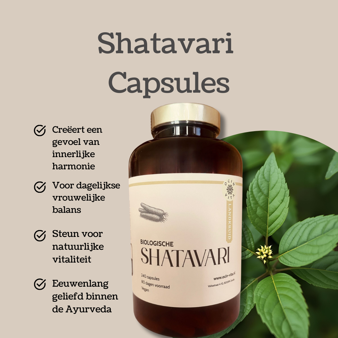 Shatavari Capsules - 100% Natuurlijk Ayurvedisch Kruid voor Balans & Vitaliteit