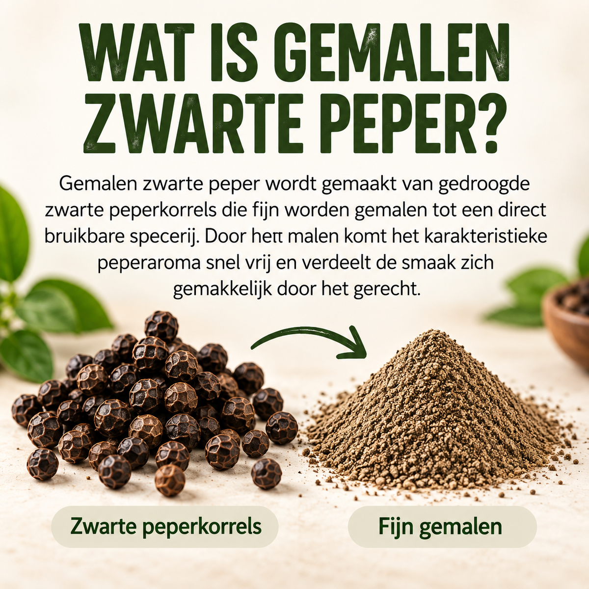Zwarte Peper Gemalen – Krachtig, Kruidig & Veelzijdig