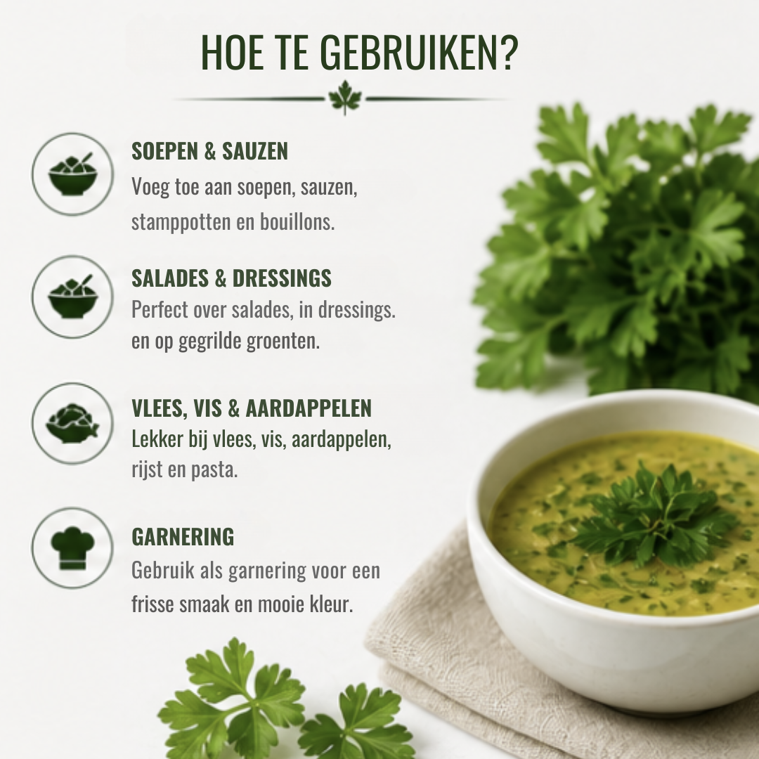 Biologische Peterselie