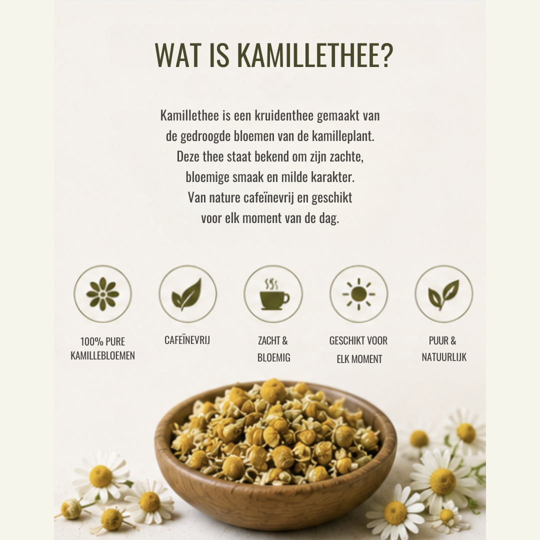 Kamille Thee – 100% Natuurlijke Kruidenthee