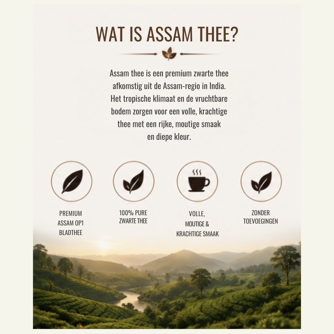 Zwarte Thee Assam – Krachtige & Volle Zwarte Thee