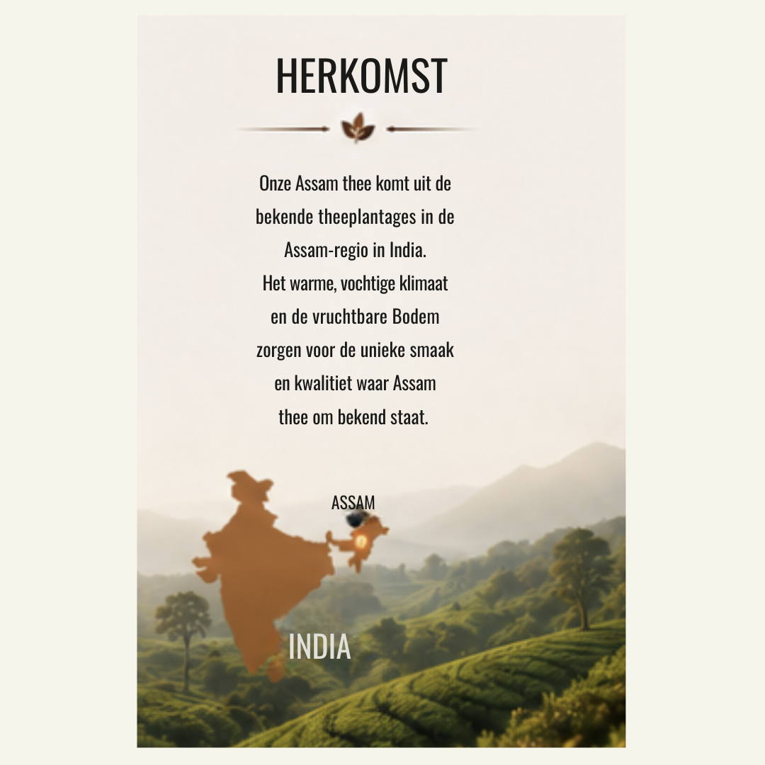 Zwarte Thee Assam – Krachtige & Volle Zwarte Thee