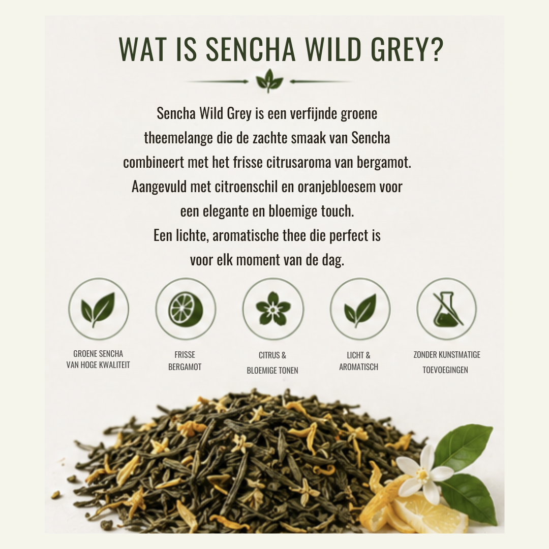 Sencha Wild Grey – Groene Thee met Bergamot & Citrus
