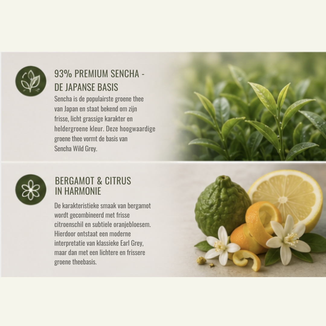 Sencha Wild Grey – Groene Thee met Bergamot & Citrus