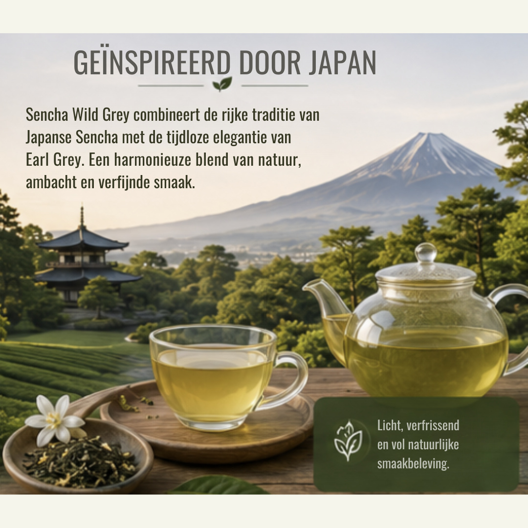 Sencha Wild Grey – Groene Thee met Bergamot & Citrus