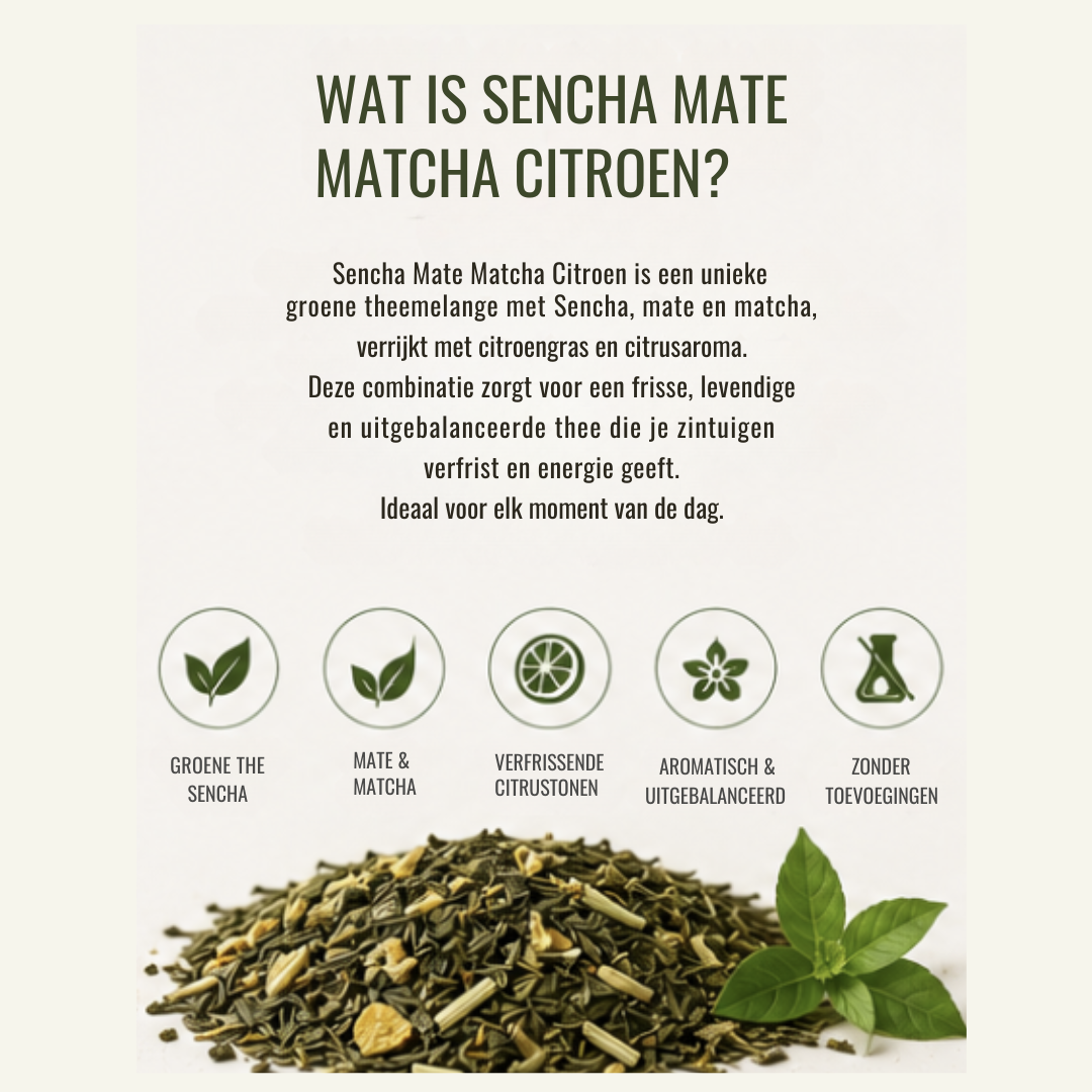 Sencha Mate Matcha Citroen – Groene Thee met Citrus & Matcha
