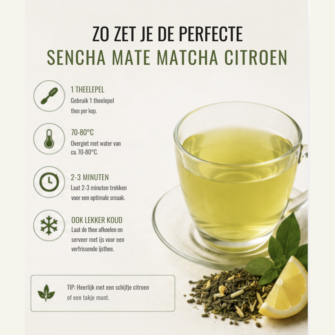 Sencha Mate Matcha Citroen – Groene Thee met Citrus & Matcha