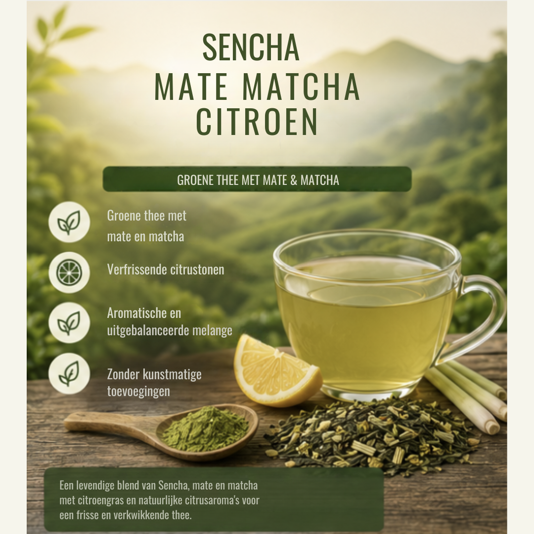 Sencha Mate Matcha Citroen – Groene Thee met Citrus & Matcha