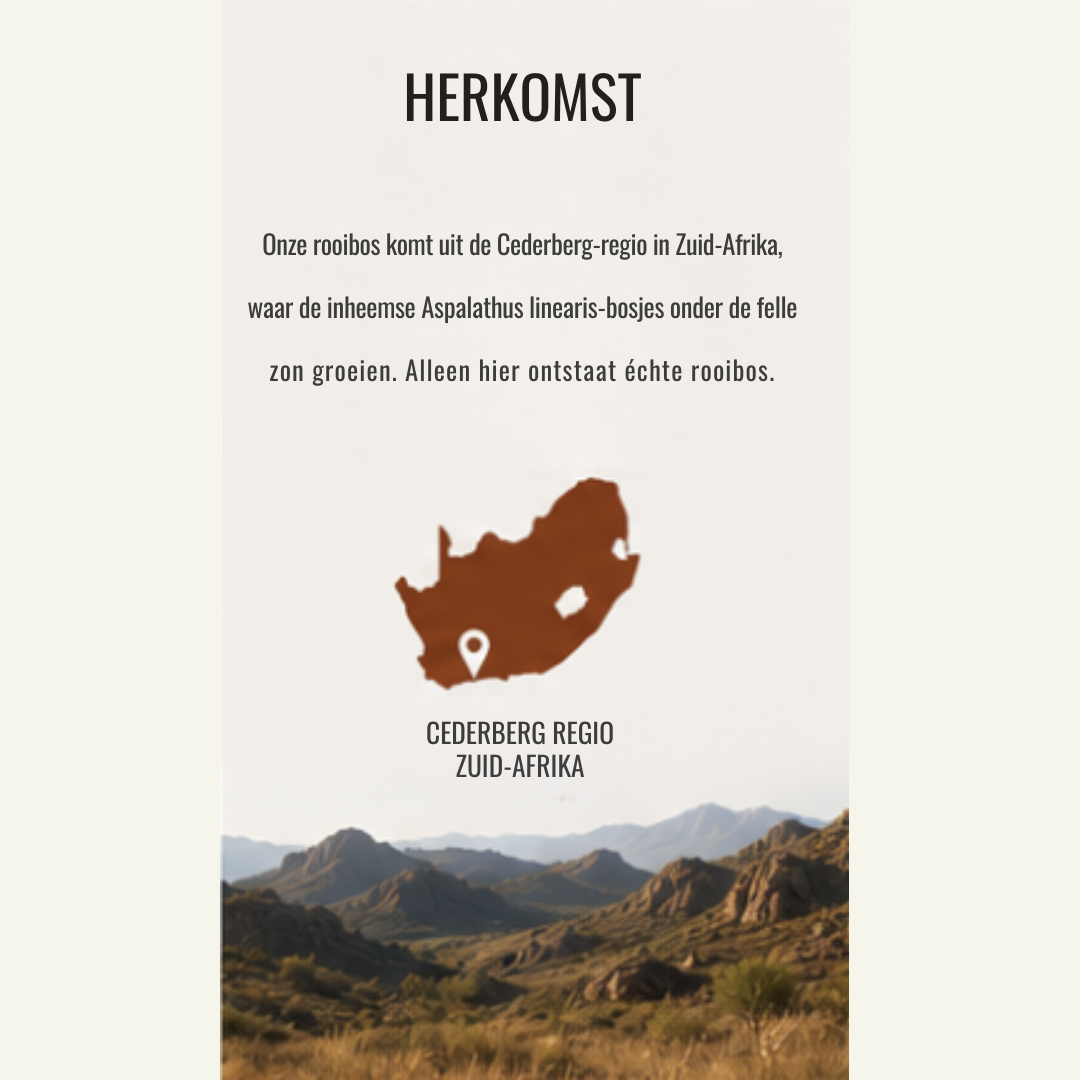 Rooibos Thee Puur – 100% Natuurlijke Cafeïnevrije Kruidenthee