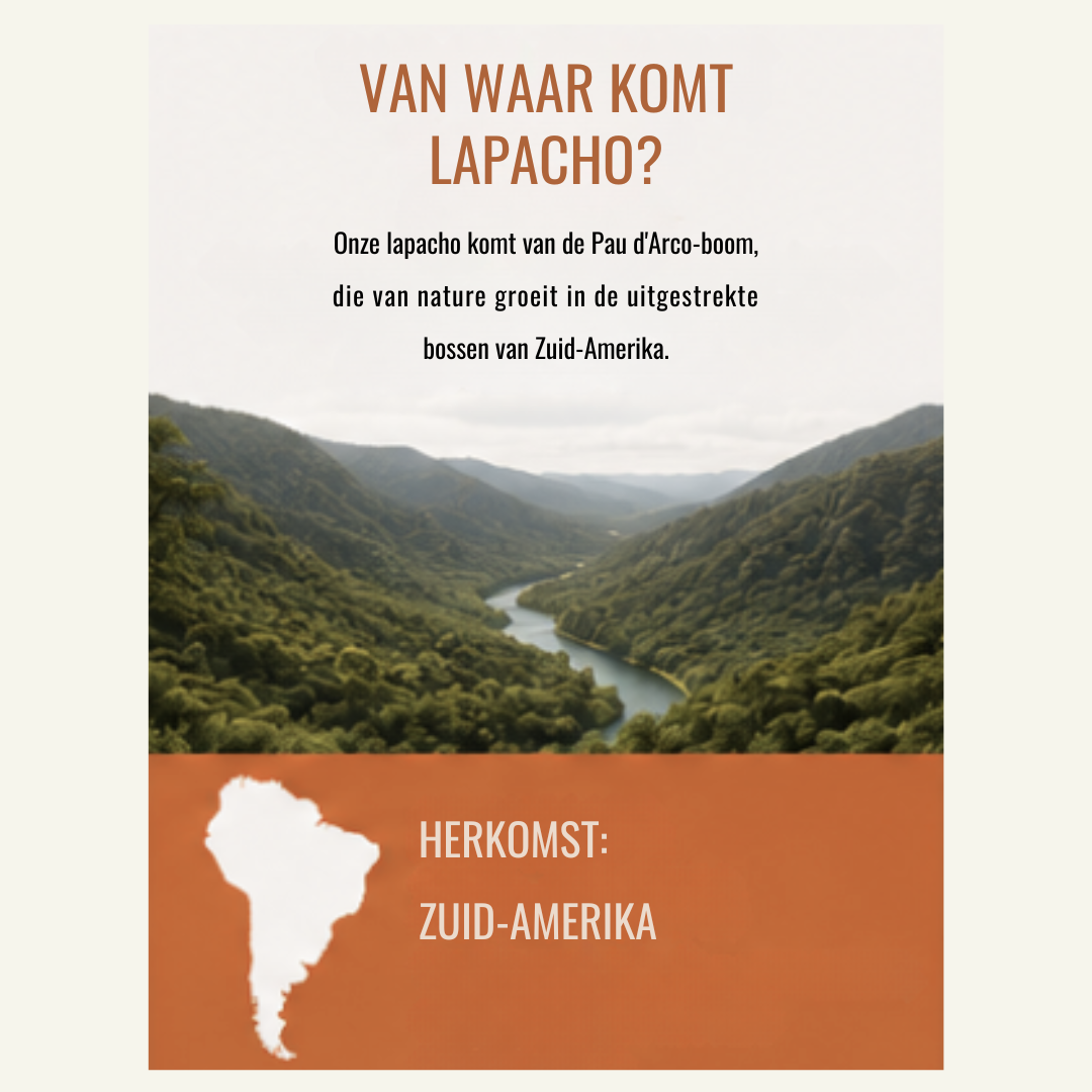 Lapacho Theemelange Sinaasappel & Vanille – Zachte en Aromatische Kruidenthee