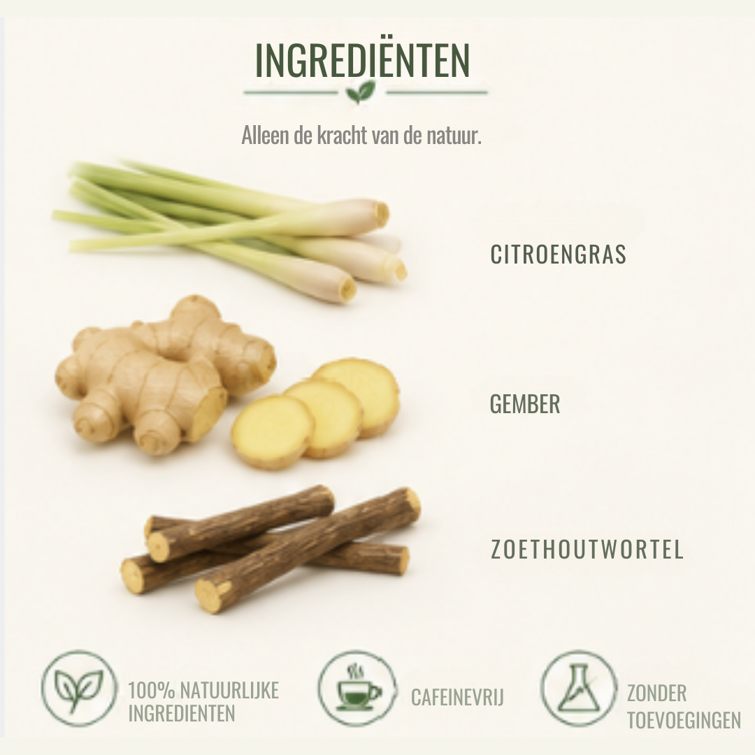 Frisse Gember Thee – Citroengras & Zoethout | Cafeïnevrije Kruidenthee