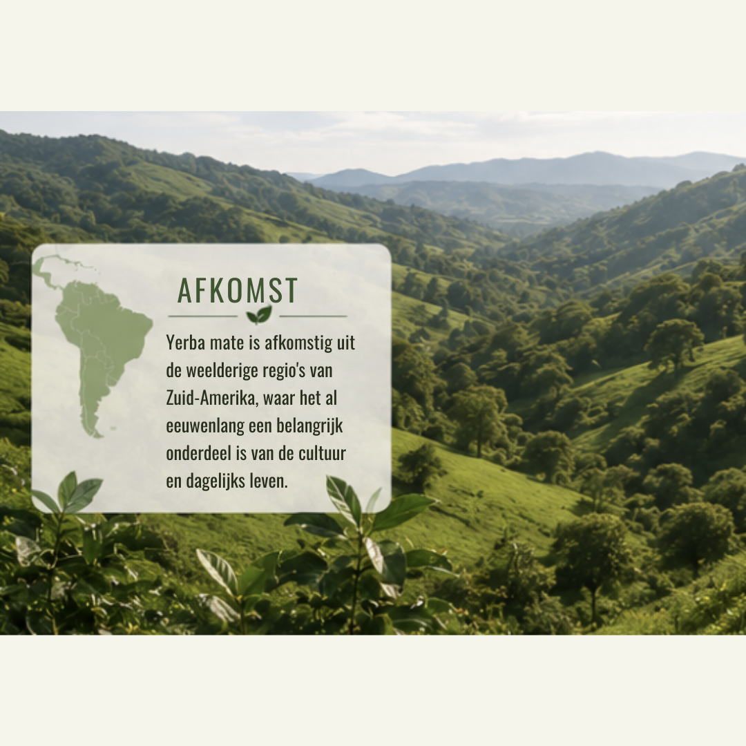 Braziliaanse Mate Thee – Yerba Mate