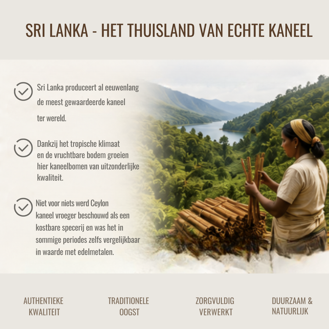 Ceylon Kaneel Poeder