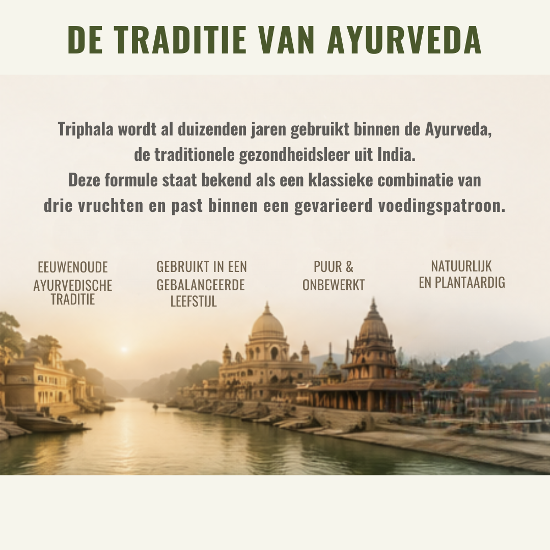 Biologisch Triphala Poeder – Traditionele Ayurvedische kruidenblend