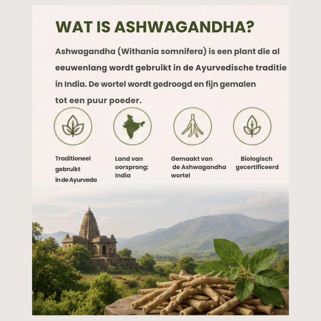 Biologisch Ashwagandha Poeder | 100% Puur & Natuurlijk