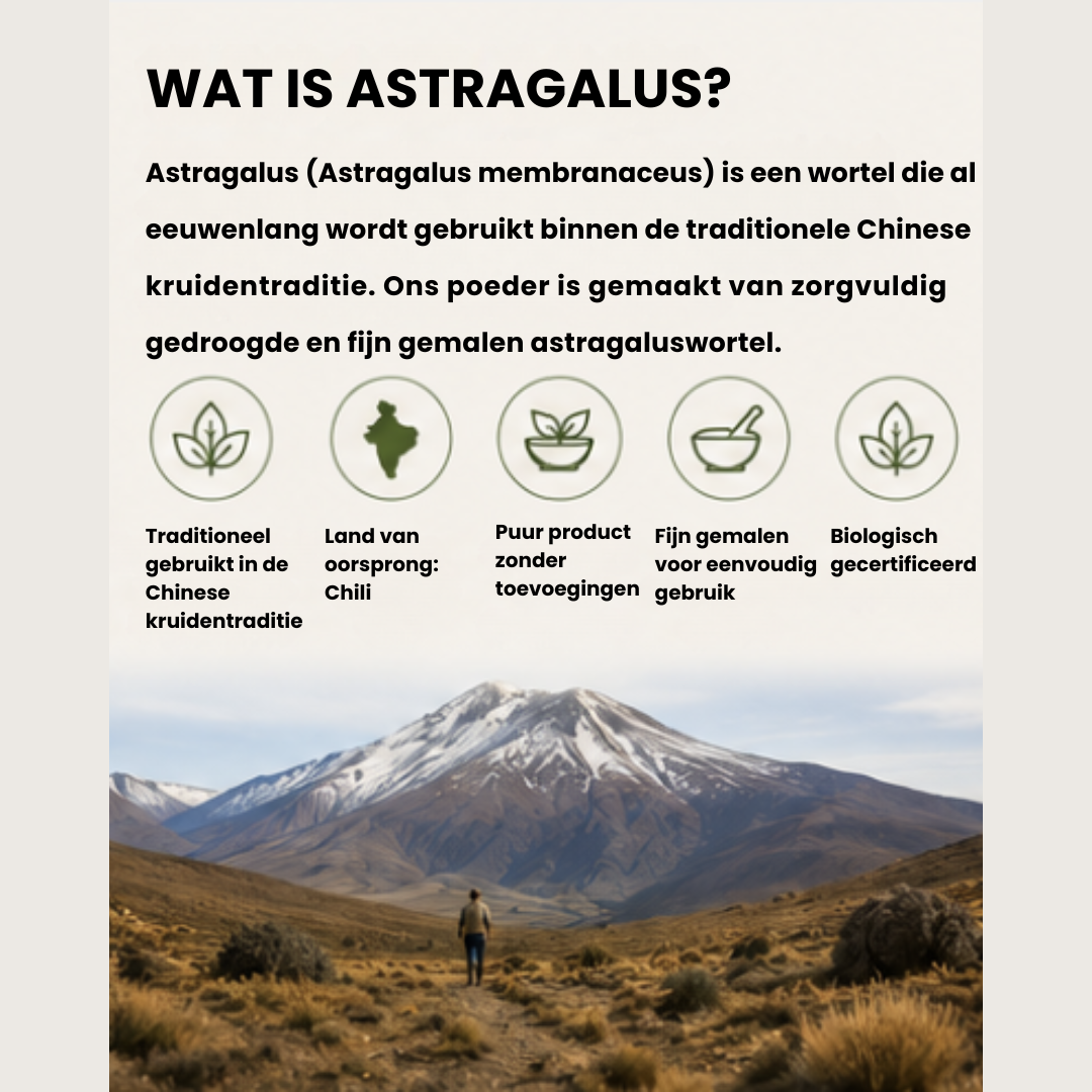 Biologisch Astragalus Poeder – Traditioneel Chinees kruid