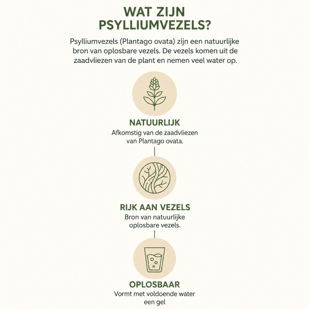 Psylliumvezels – Psyllium Husk 100% Puur & Biologisch