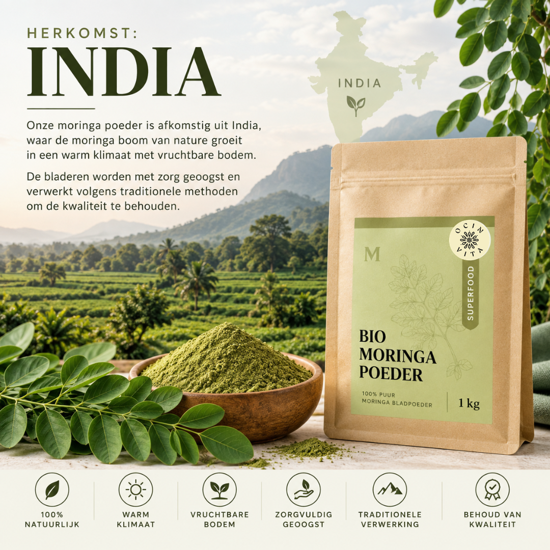 Infographic over de herkomst van Ocin Vita biologisch moringa poeder uit India, met moringabladeren, poeder en verpakking