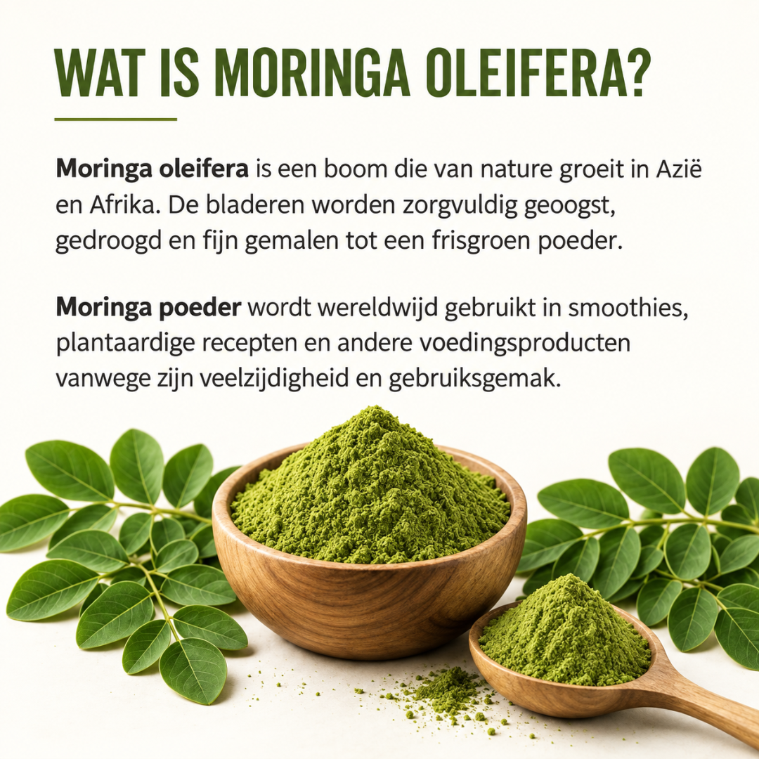 Infographic over Moringa oleifera met moringabladeren en biologisch moringa poeder in houten kom en lepel