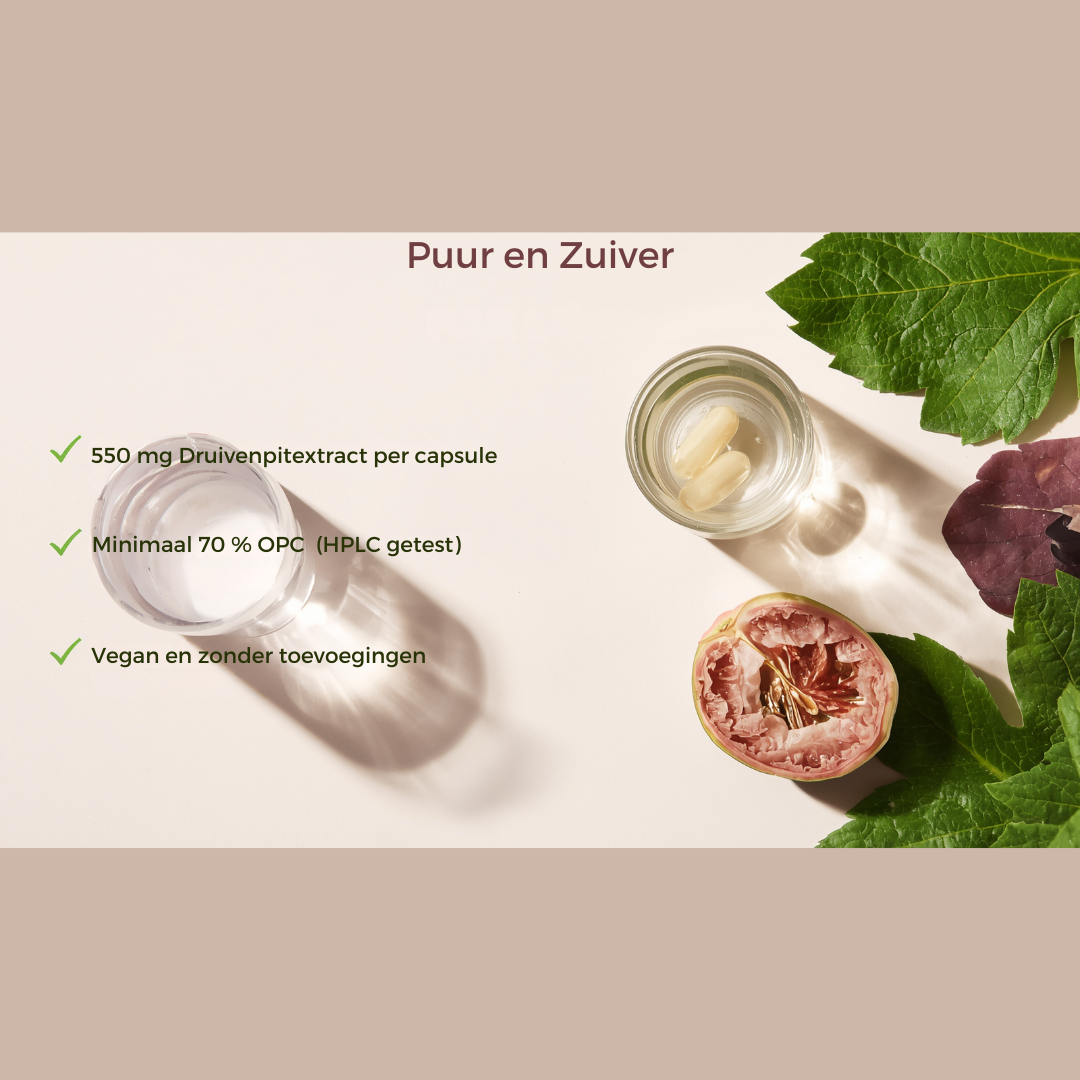 OPC Druivenpitextract Capsules – Hoogwaardig & zuiver druivenpitextract