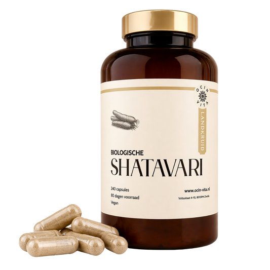 Biologische Shatavari Capsules – Traditioneel Ayurvedisch kruid